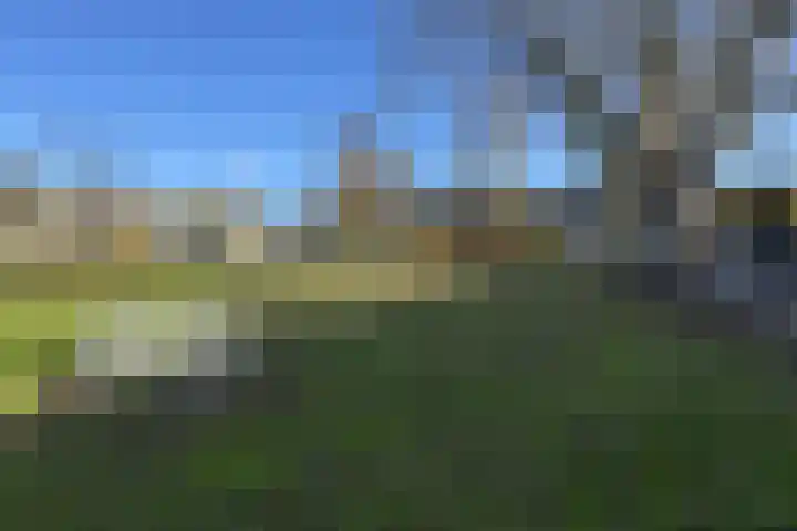 Ansekerke 9 Zevenbergen thumbnail 57