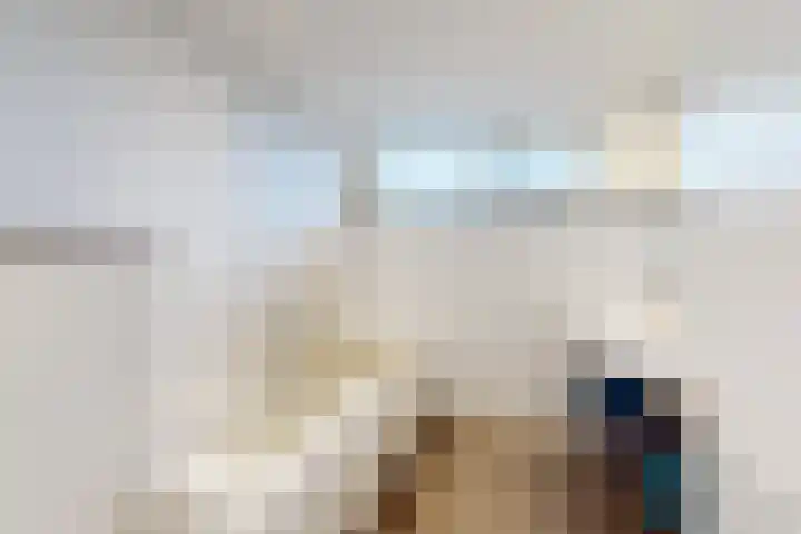 Ansekerke 9 Zevenbergen thumbnail 6