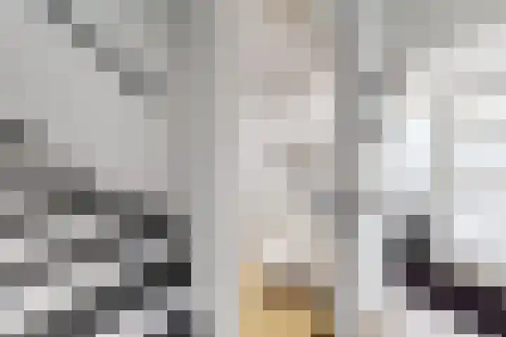 Ansekerke 9 Zevenbergen thumbnail 9