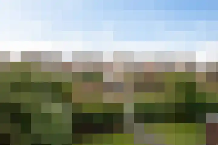 Anselmusstraat 8 Groningen thumbnail 29