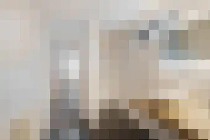 Anselmusstraat 8 Groningen thumbnail 33