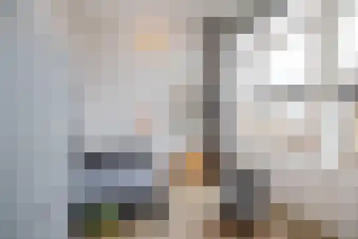 Anselmusstraat 8 Groningen thumbnail 38