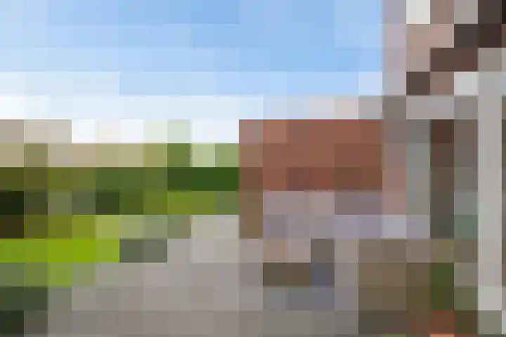 Anselmusstraat 8 Groningen thumbnail 45