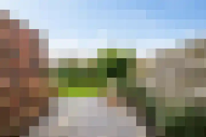 Anselmusstraat 8 Groningen thumbnail 48