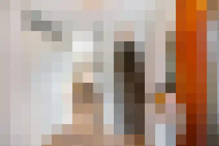 Anselmusstraat 8 Groningen thumbnail 9