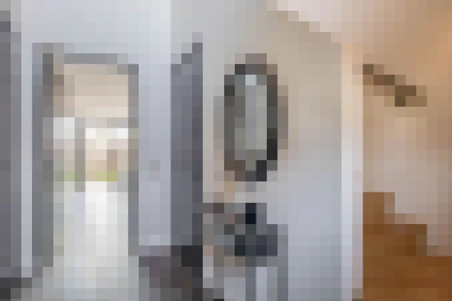 Ansemhoek 1 Helmond thumbnail 12