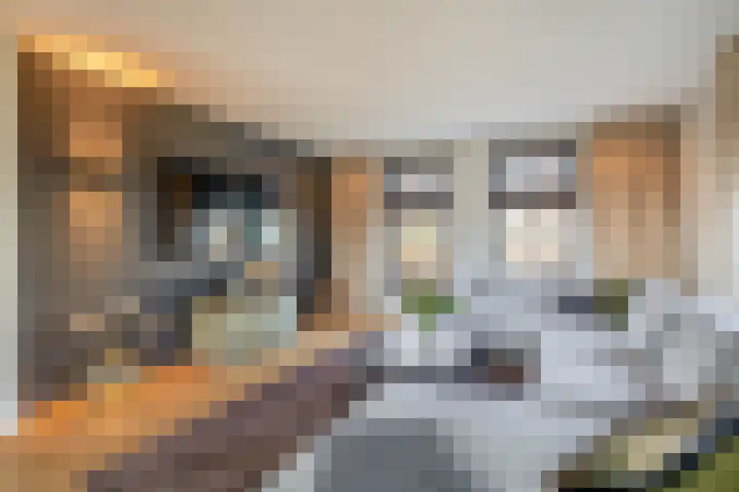 Ansemhoek 1 Helmond thumbnail 14