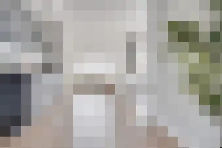 Ansemhoek 1 Helmond thumbnail 17