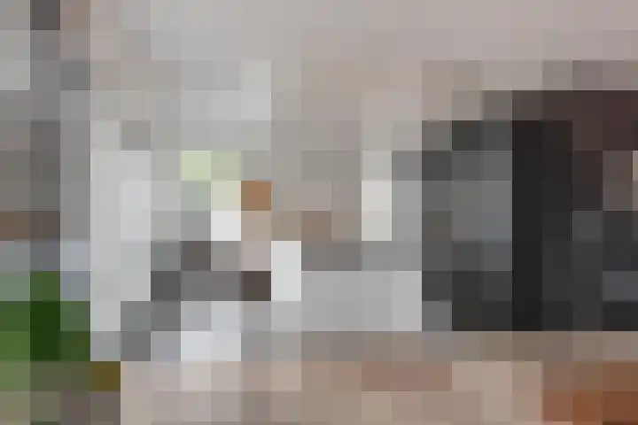 Ansemhoek 1 Helmond thumbnail 30