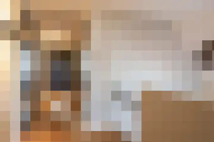 Ansemhoek 1 Helmond thumbnail 36