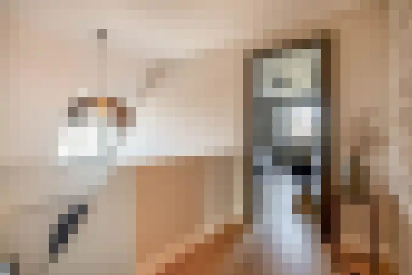 Ansemhoek 1 Helmond thumbnail 38