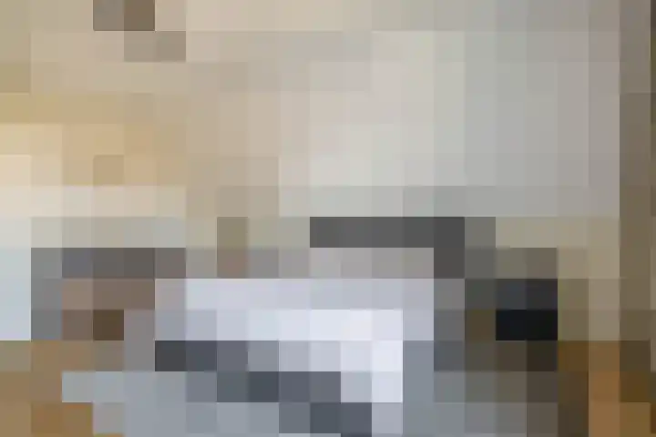 Ansemhoek 1 Helmond thumbnail 41