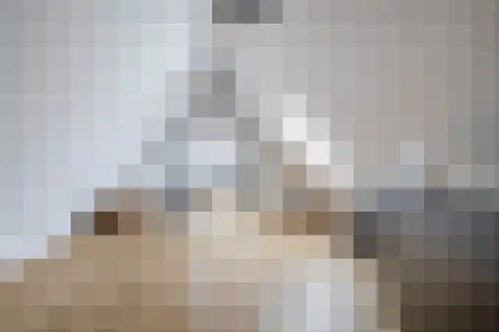 Ansemhoek 1 Helmond thumbnail 54