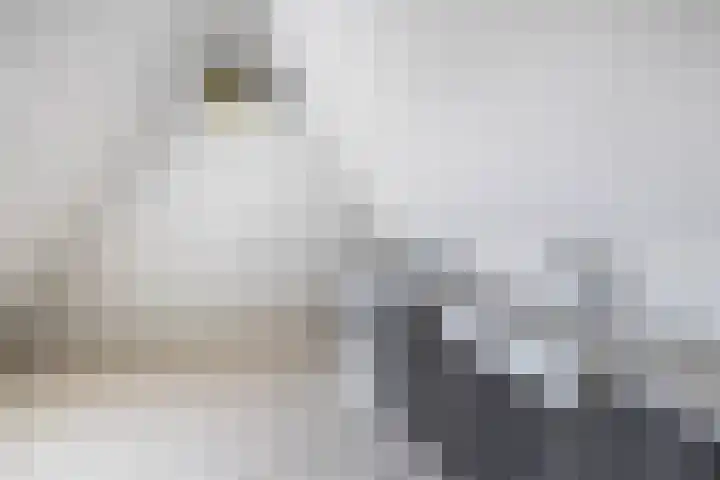 Ansemhoek 1 Helmond thumbnail 56