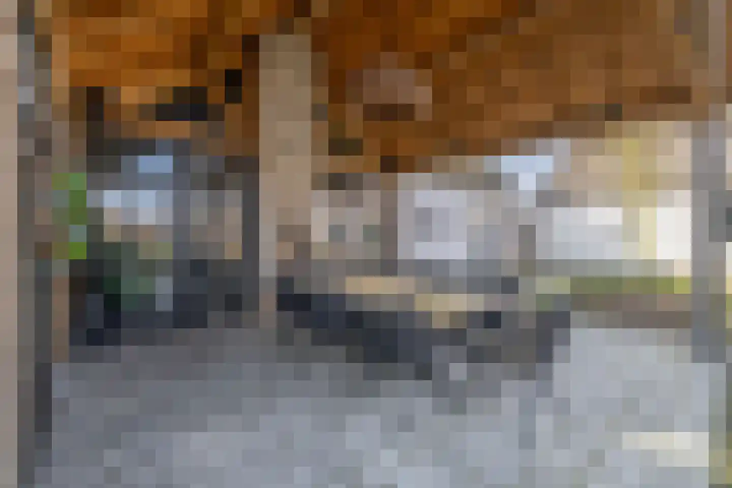 Ansemhoek 1 Helmond thumbnail 57