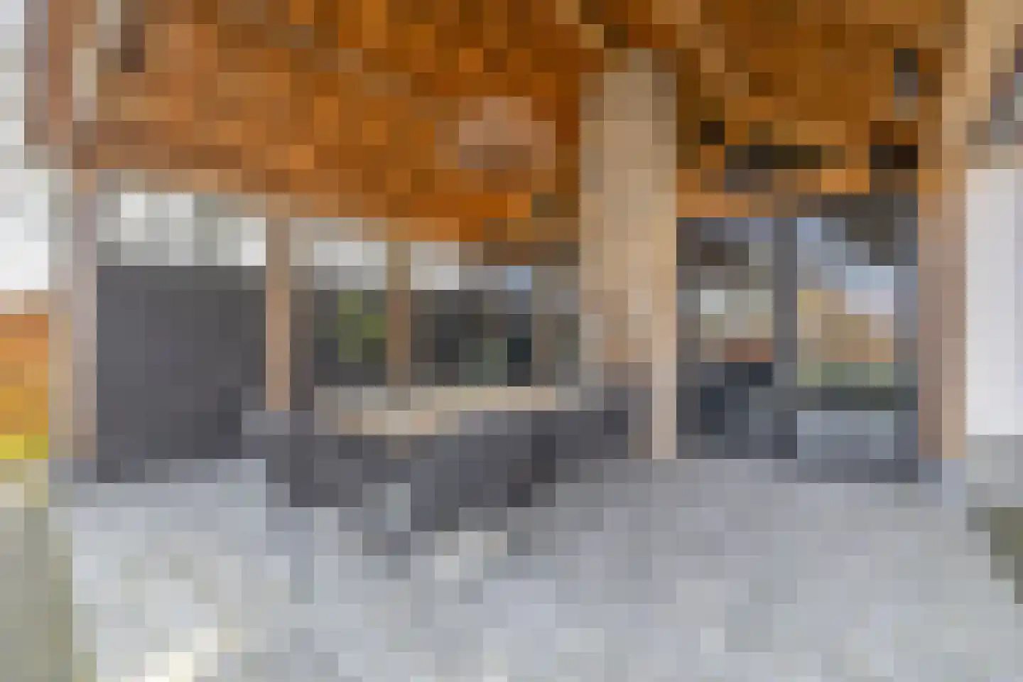 Ansemhoek 1 Helmond thumbnail 58