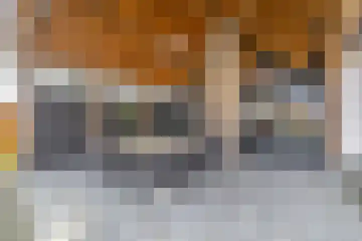 Ansemhoek 1 Helmond thumbnail 58