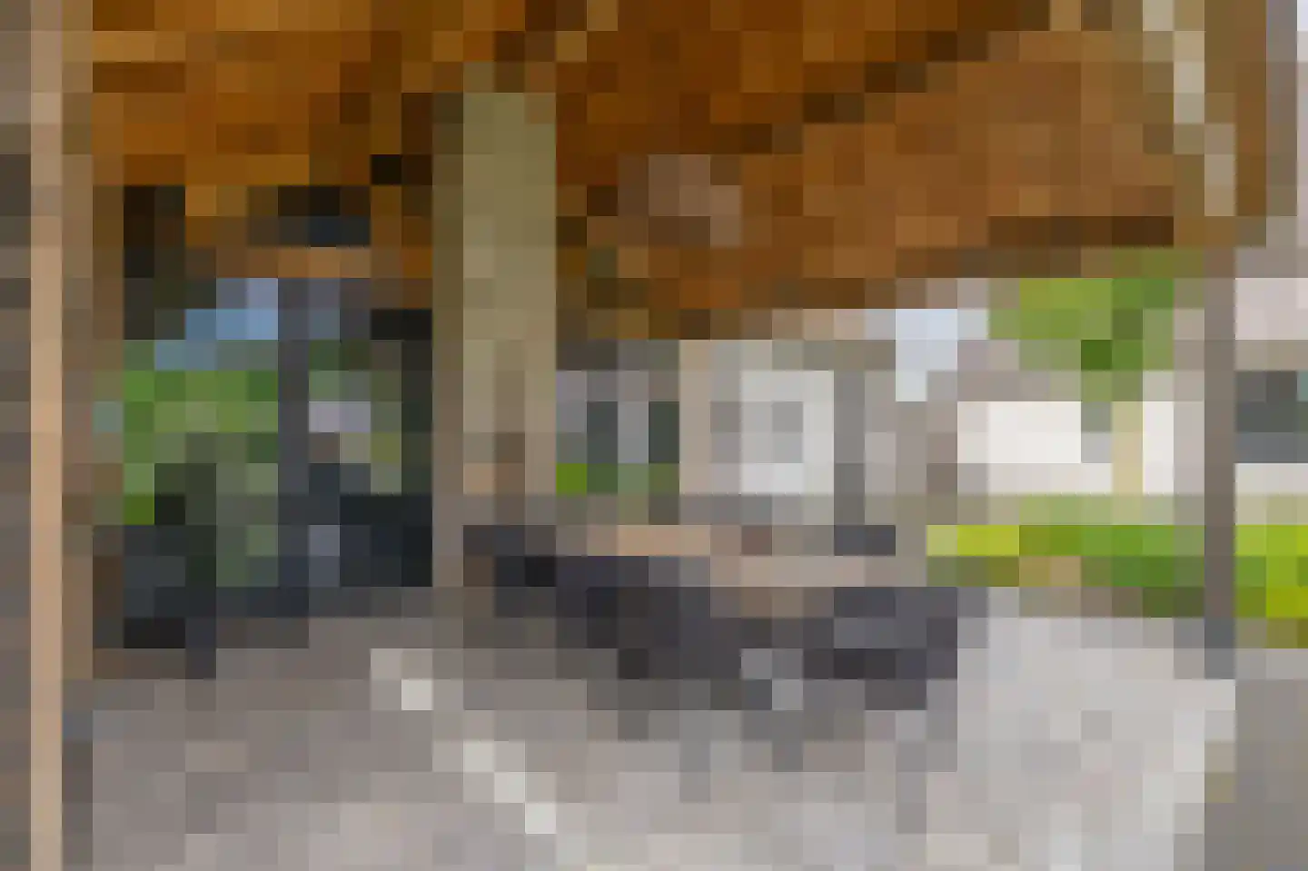 Ansemhoek 1 Helmond thumbnail 61
