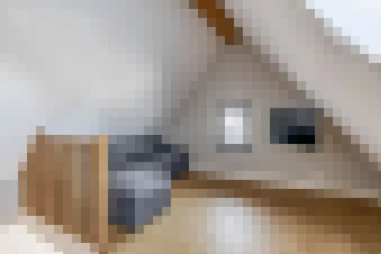 Ansemhoek 1 Helmond thumbnail 64
