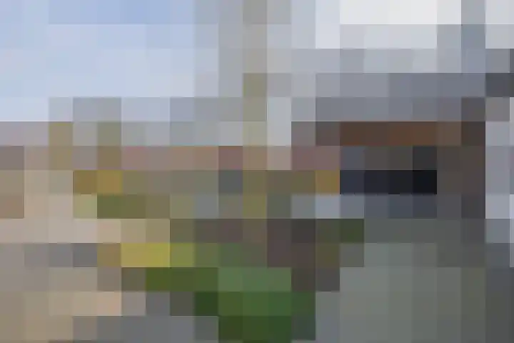 Ansemhoek 1 Helmond thumbnail 74