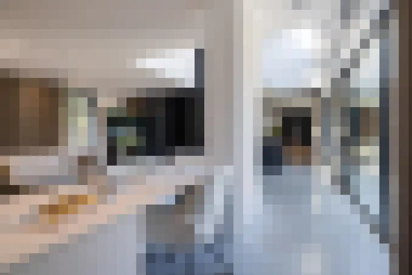 Ansemhoek 14 Helmond thumbnail 12