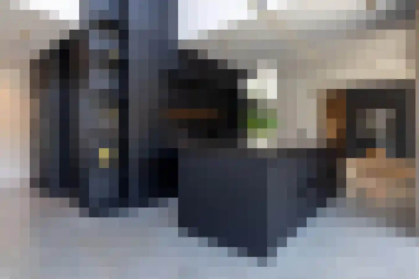 Ansemhoek 14 Helmond thumbnail 17