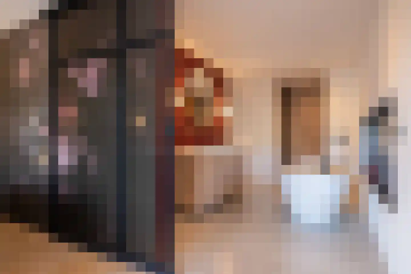 Ansemhoek 14 Helmond thumbnail 23