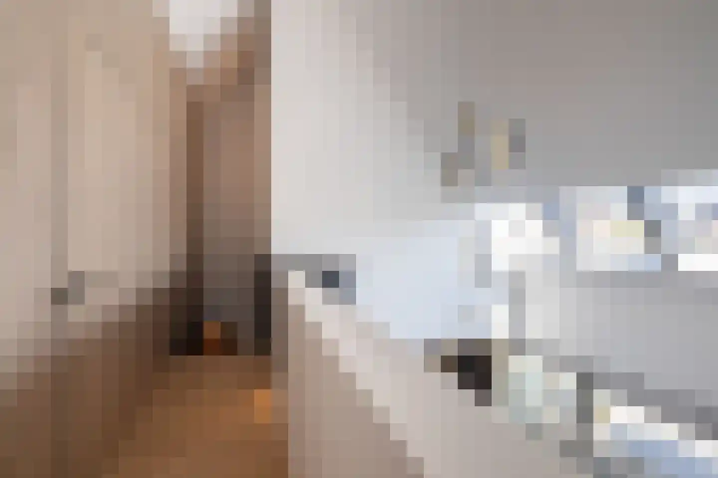 Ansemhoek 14 Helmond thumbnail 29