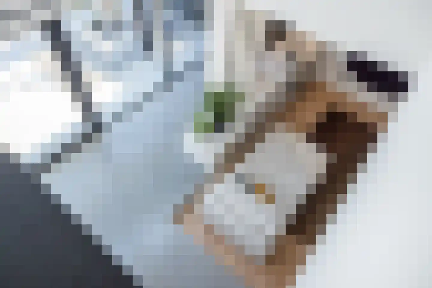 Ansemhoek 14 Helmond thumbnail 30
