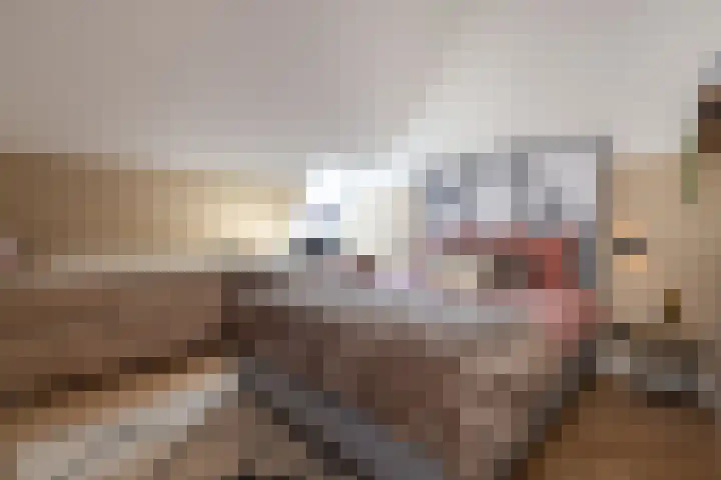 Ansemhoek 14 Helmond thumbnail 33