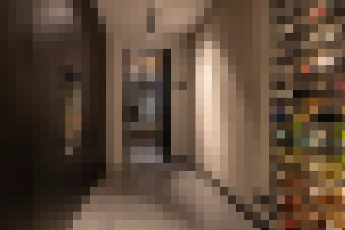 Ansemhoek 14 Helmond thumbnail 38