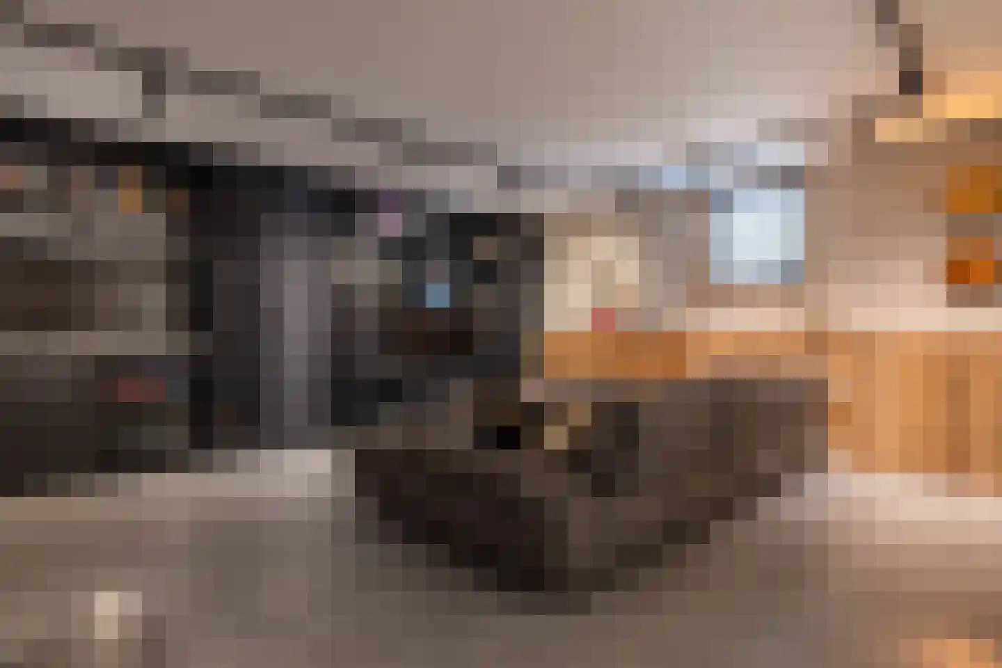 Ansemhoek 14 Helmond thumbnail 39