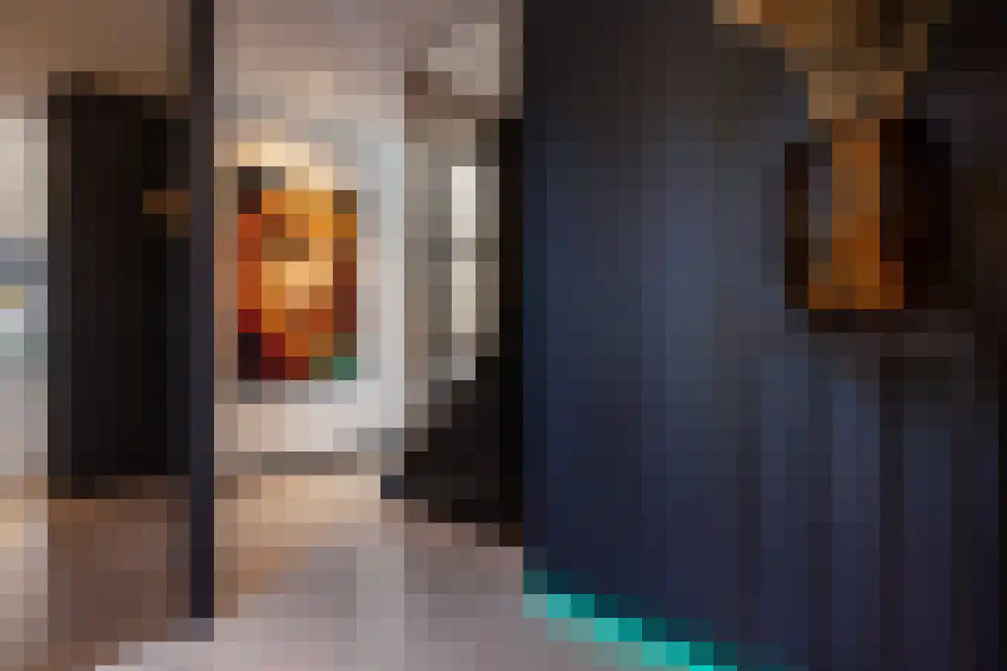 Ansemhoek 14 Helmond thumbnail 5
