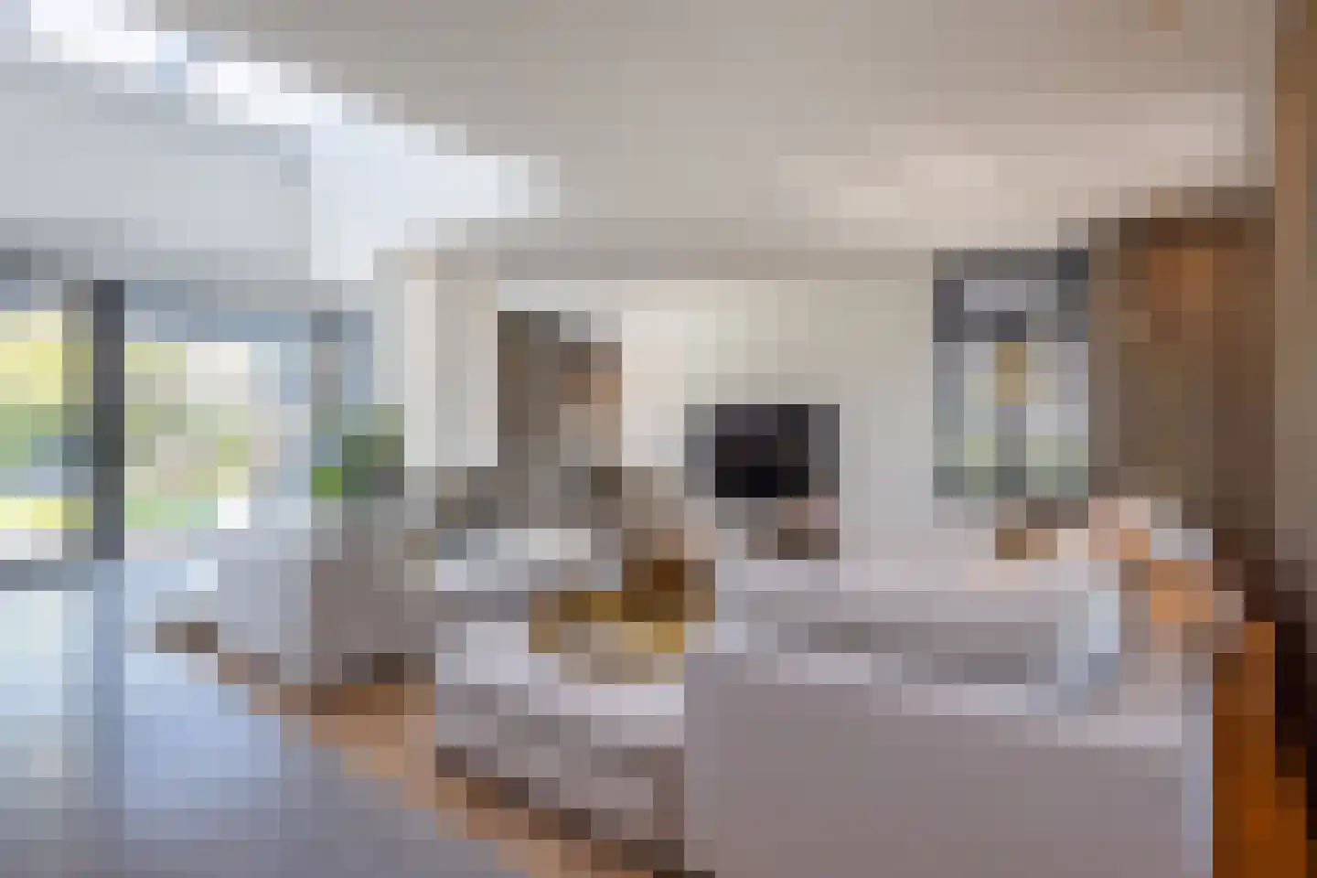 Ansemhoek 14 Helmond thumbnail 9