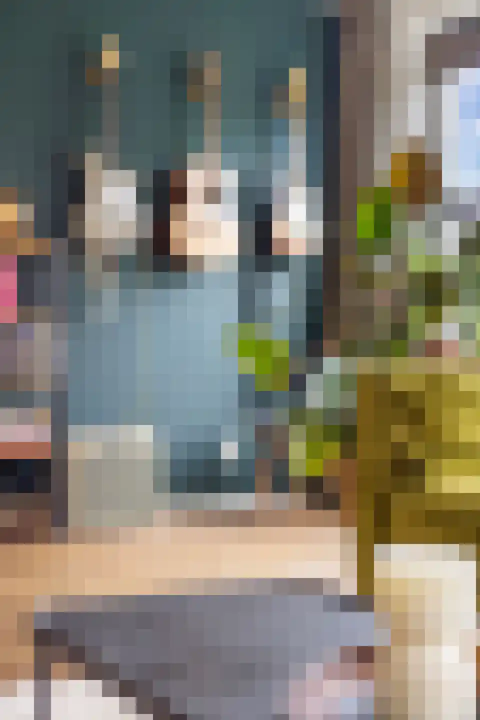 Anserstraat 2 Zuidhorn thumbnail 14