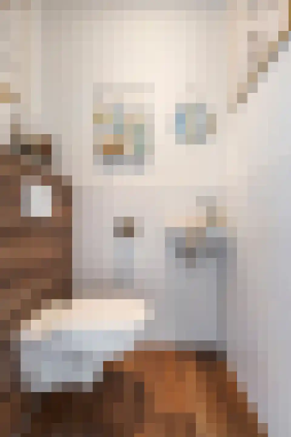 Anserstraat 2 Zuidhorn thumbnail 27
