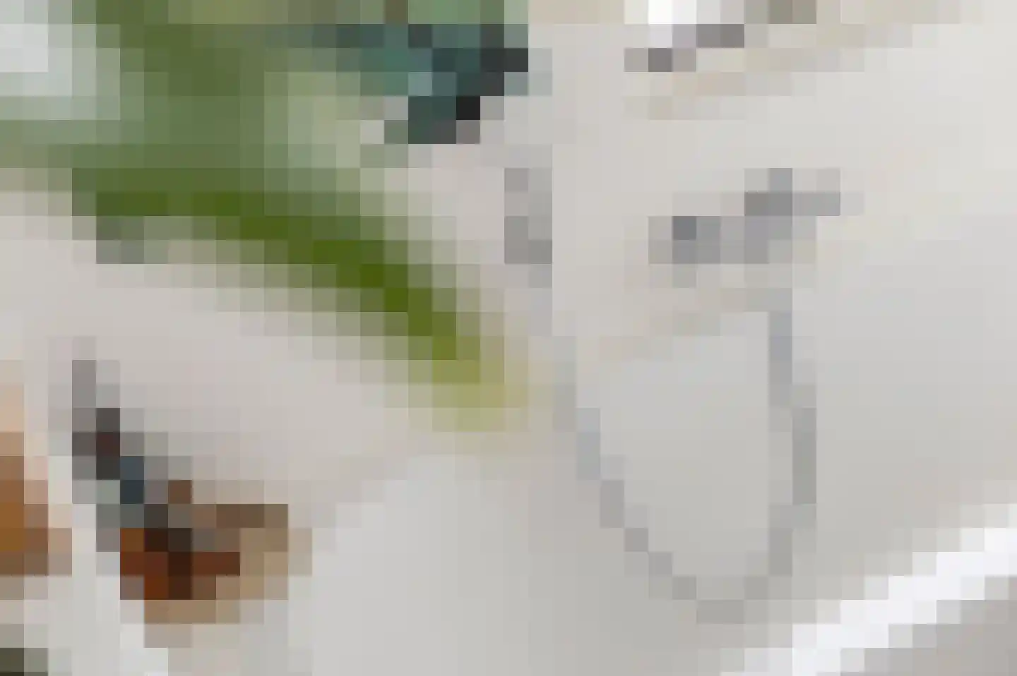 Anserstraat 2 Zuidhorn thumbnail 37