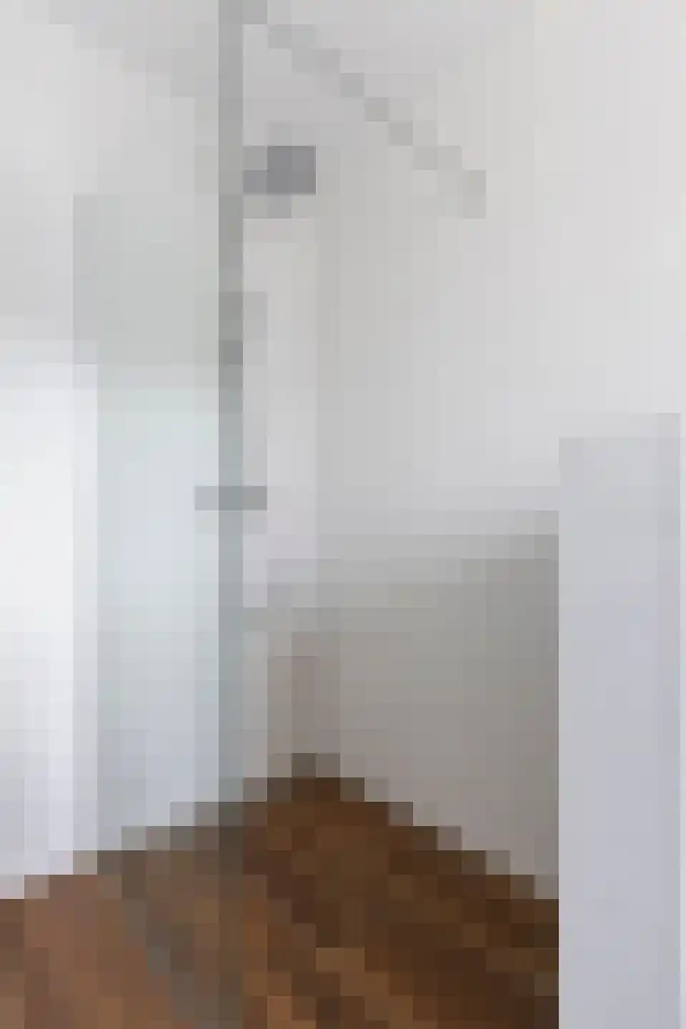 Anserstraat 2 Zuidhorn thumbnail 39