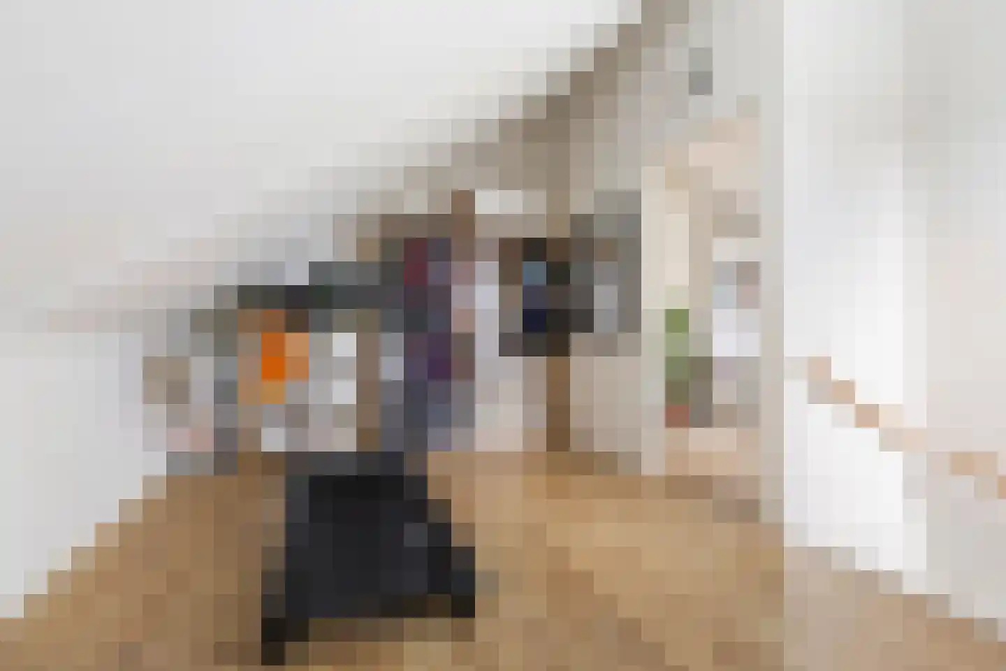 Anserstraat 2 Zuidhorn thumbnail 42