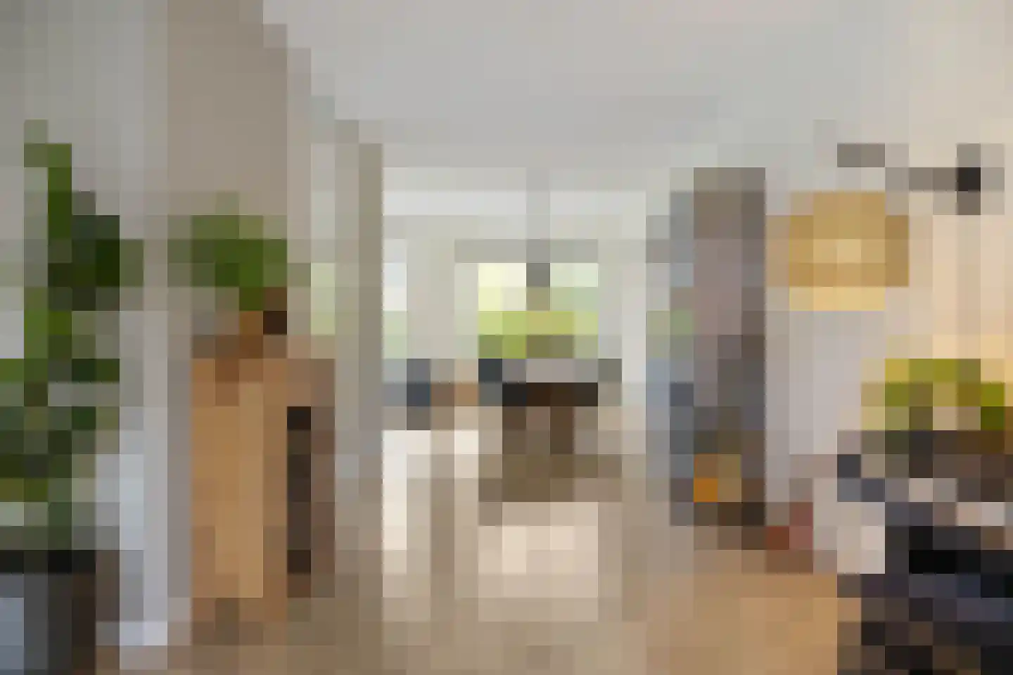 Anserstraat 4 Zuidhorn thumbnail 17