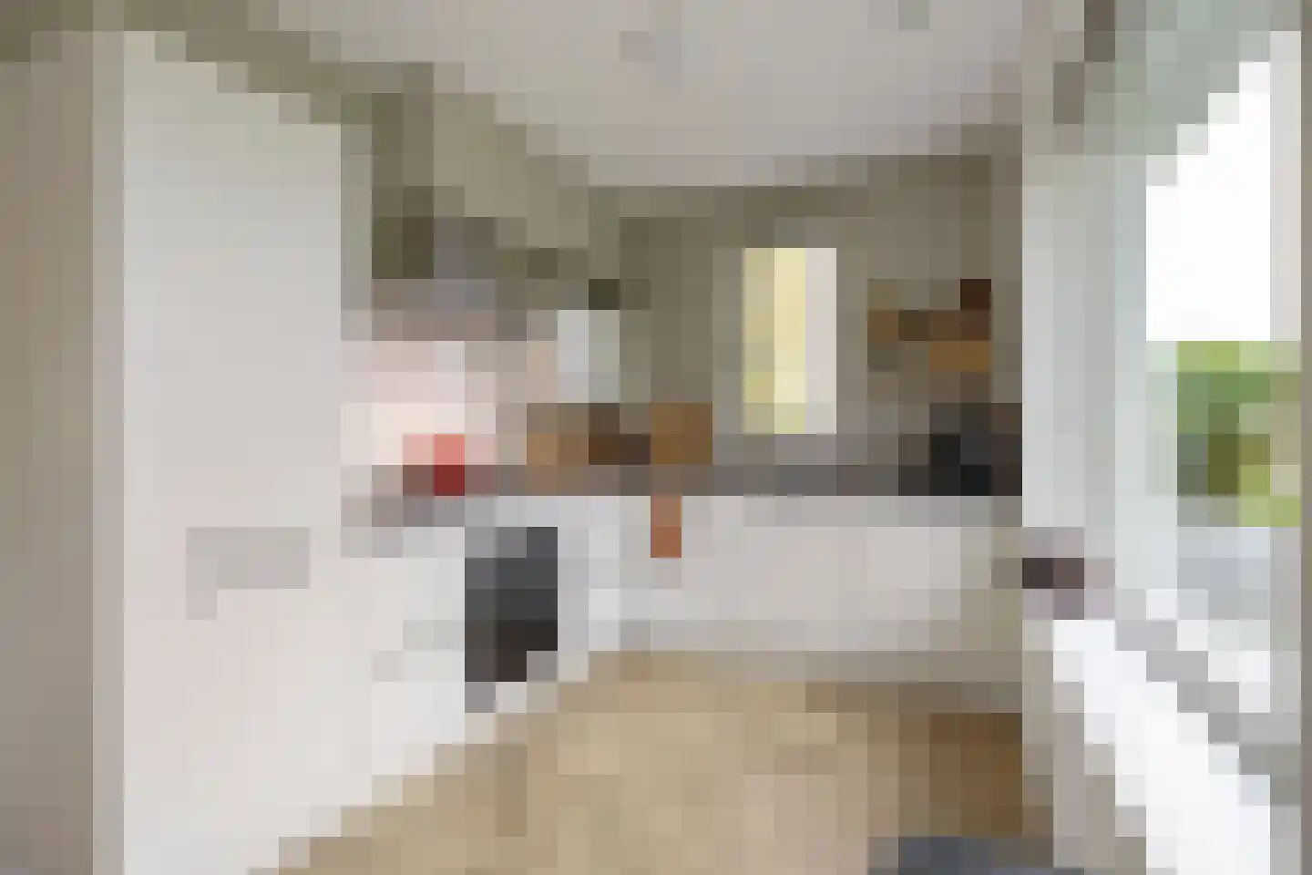 Anserstraat 4 Zuidhorn thumbnail 21