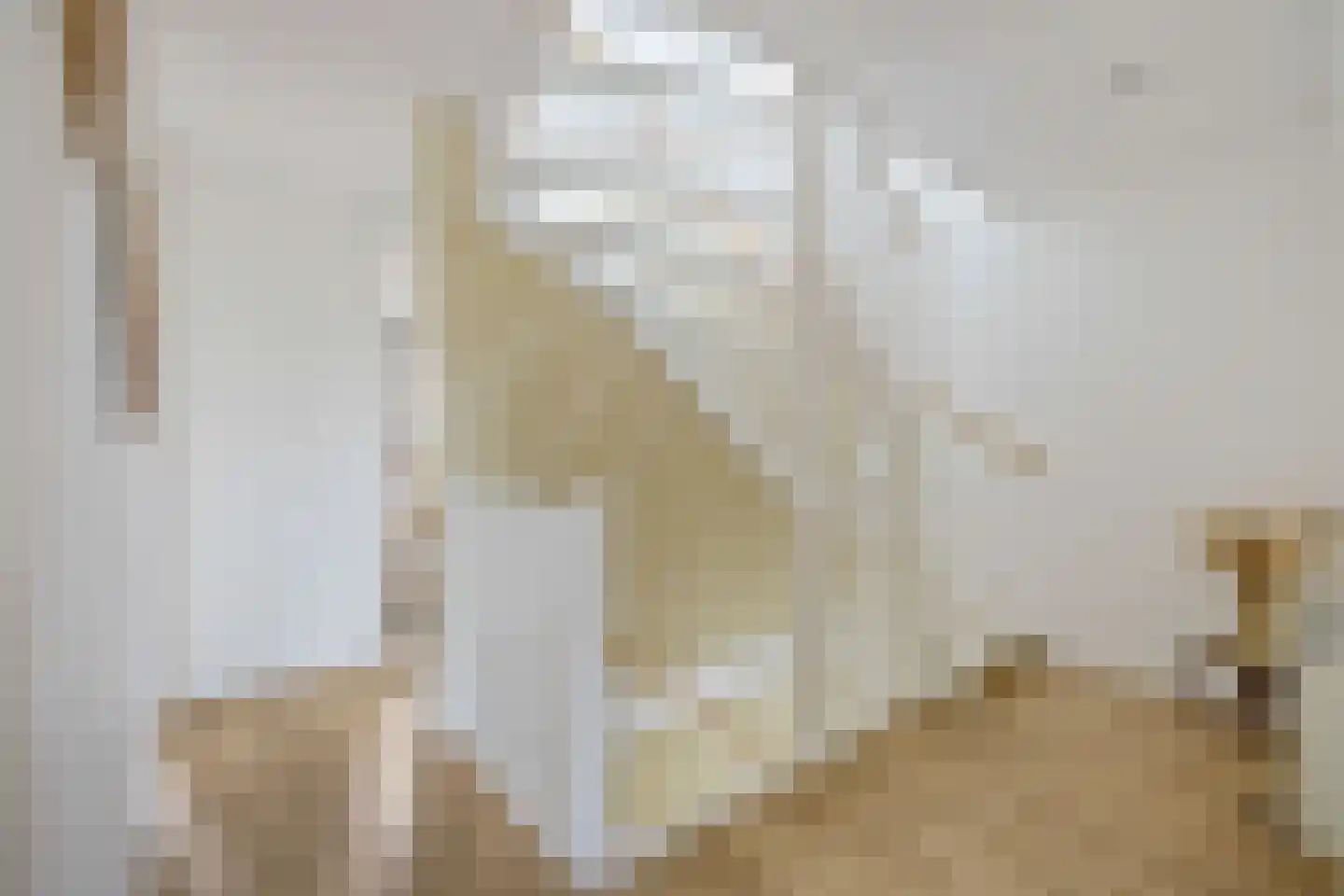 Anserstraat 4 Zuidhorn thumbnail 31
