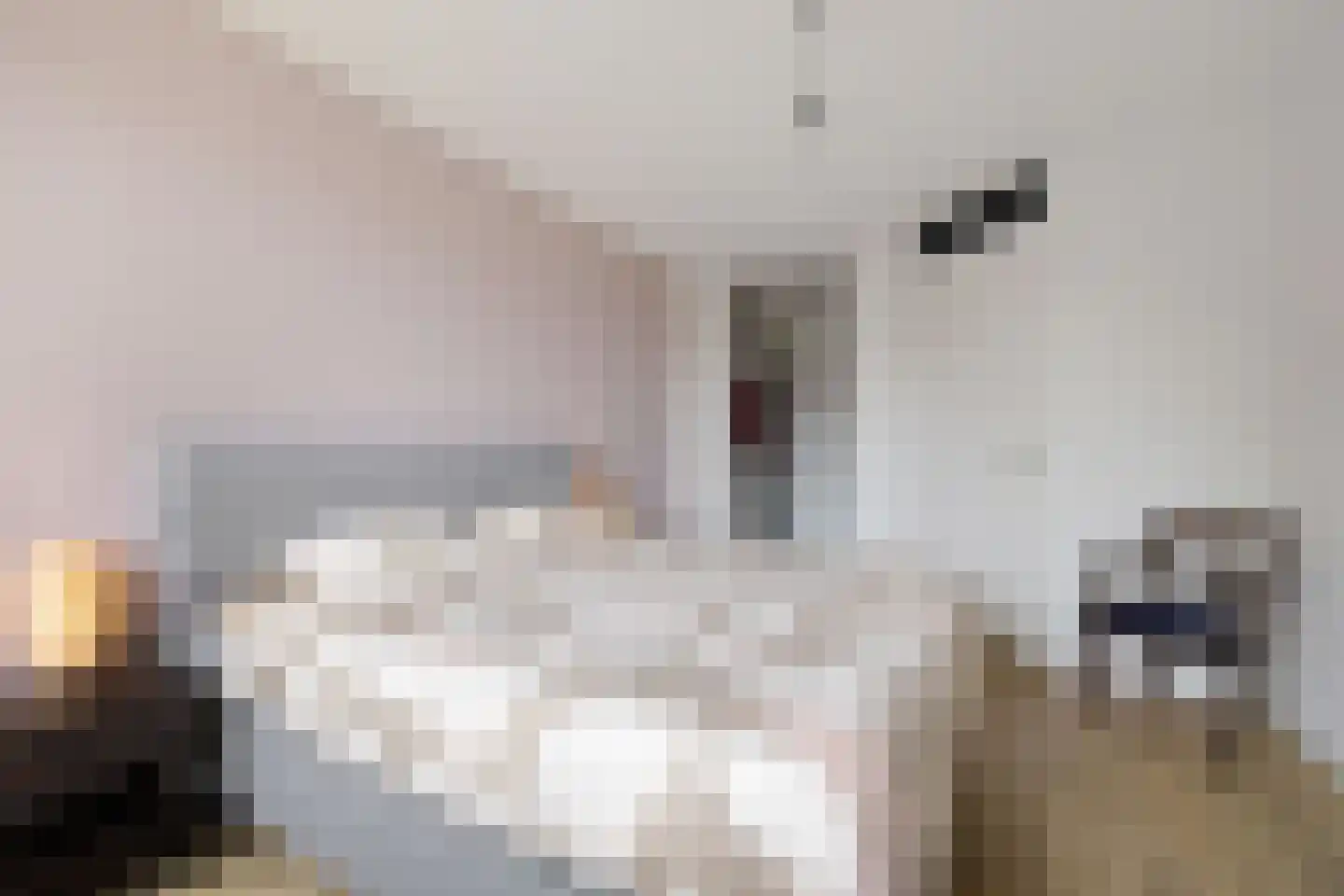 Anserstraat 4 Zuidhorn thumbnail 34
