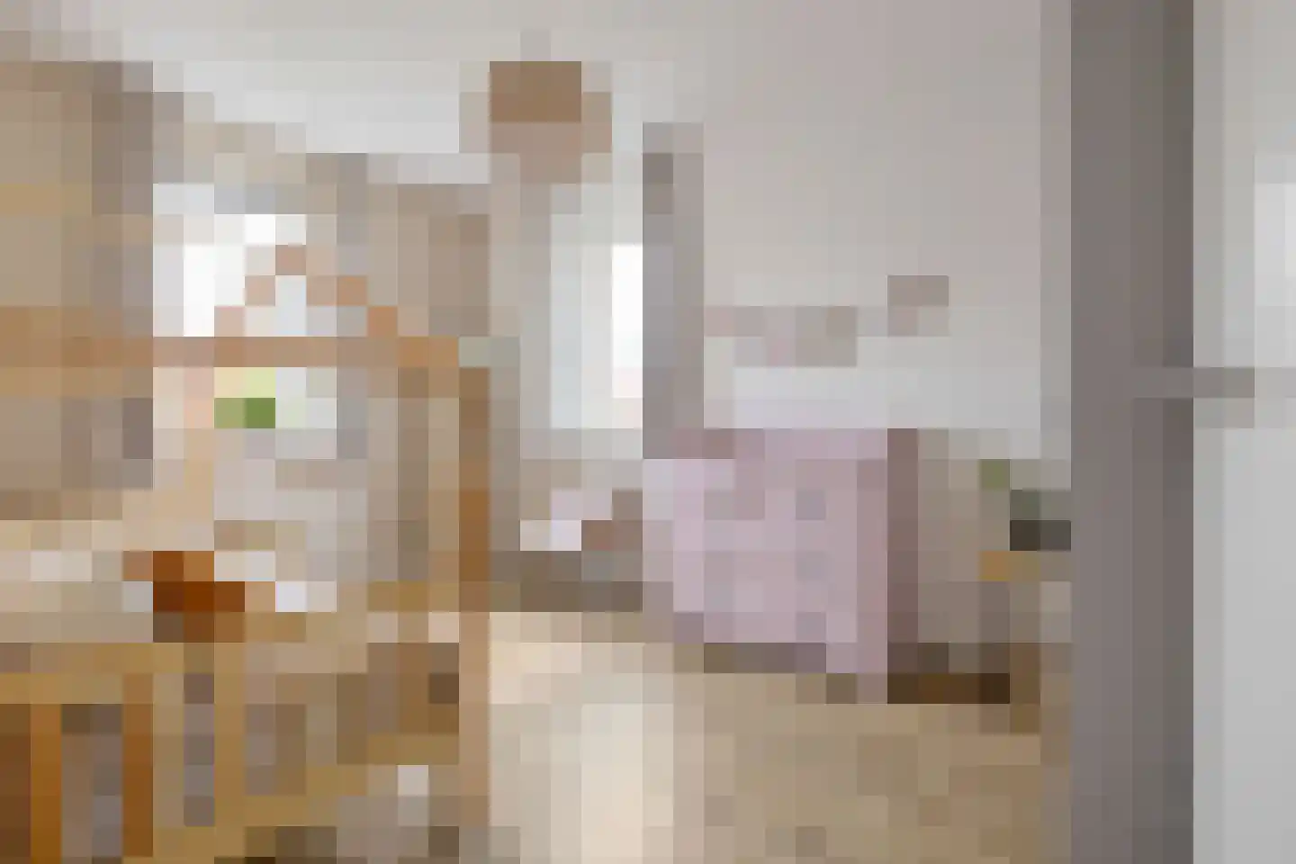 Anserstraat 4 Zuidhorn thumbnail 36