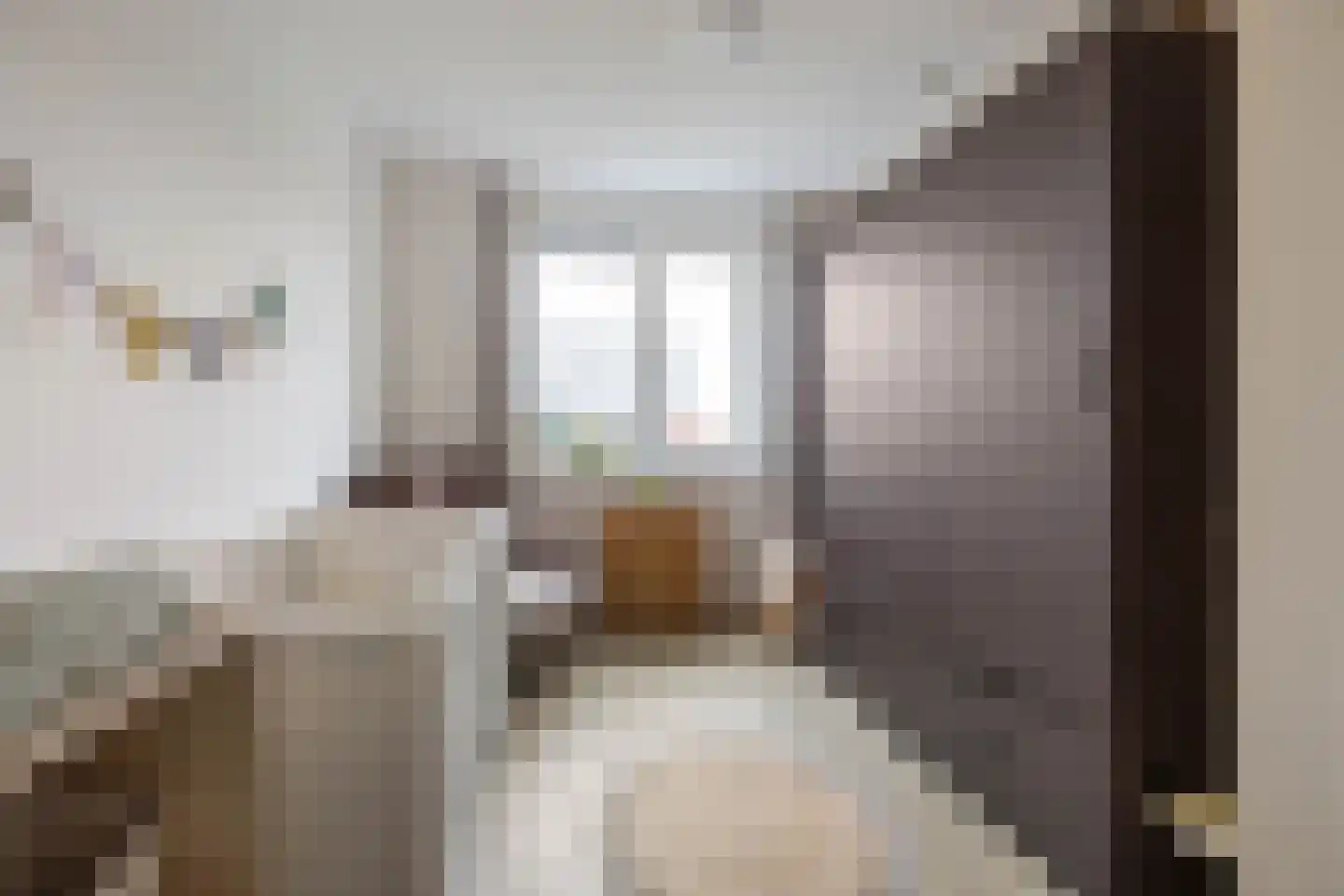 Anserstraat 4 Zuidhorn thumbnail 39
