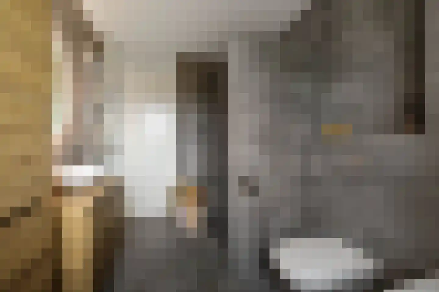 Anserstraat 4 Zuidhorn thumbnail 43