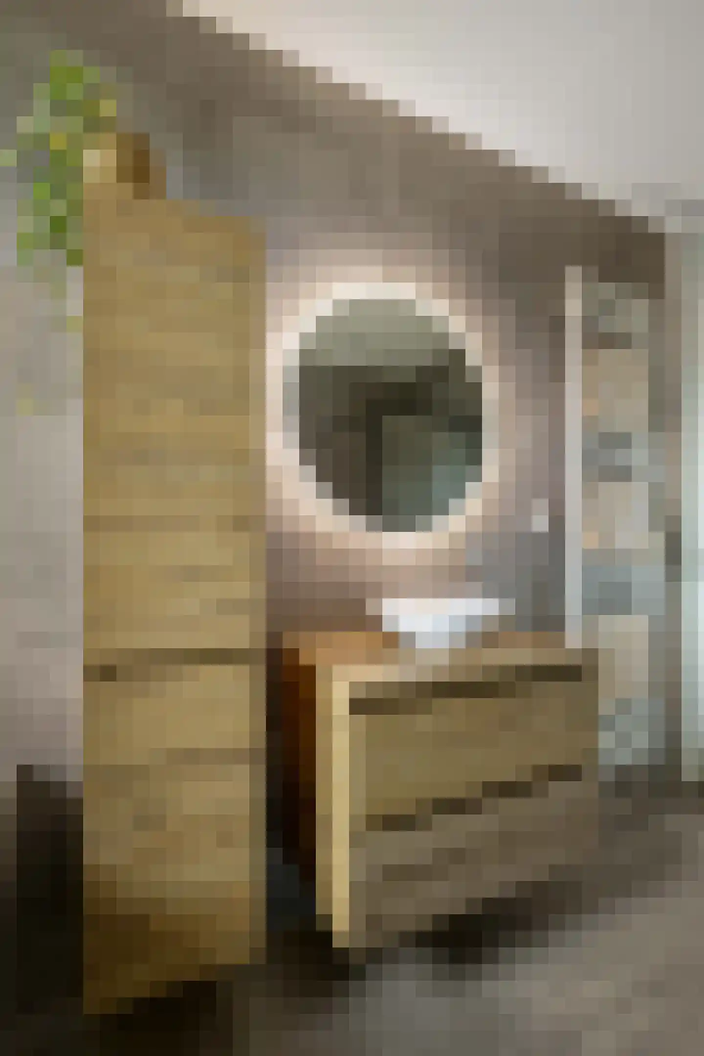 Anserstraat 4 Zuidhorn thumbnail 44