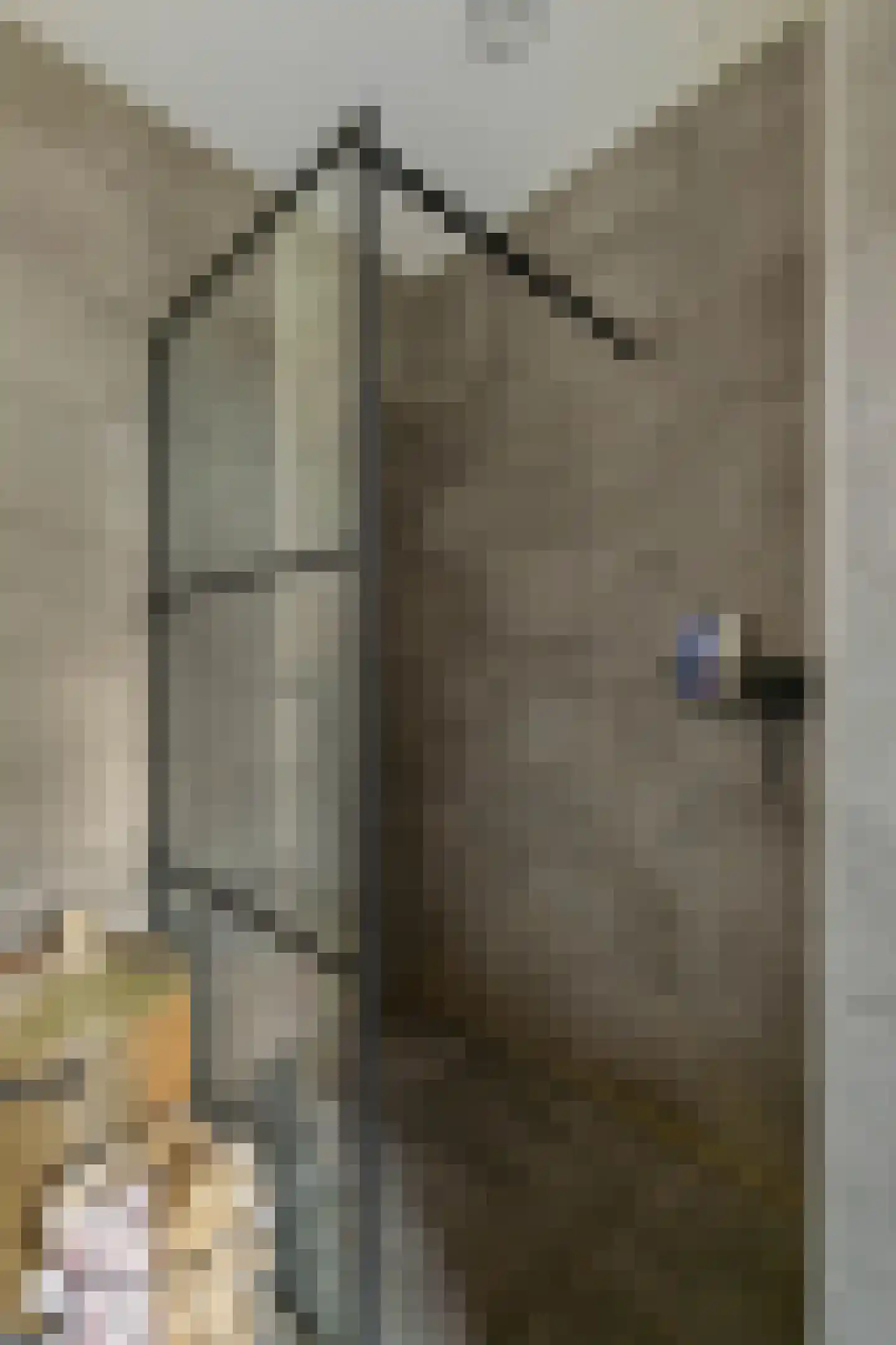 Anserstraat 4 Zuidhorn thumbnail 45