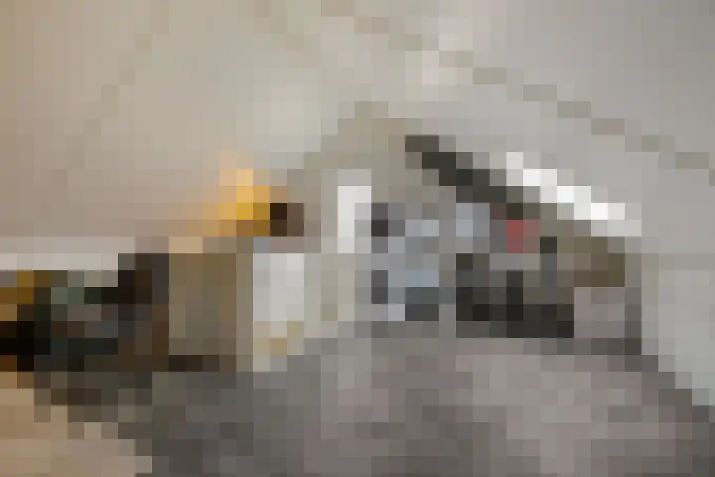Anserstraat 4 Zuidhorn thumbnail 48