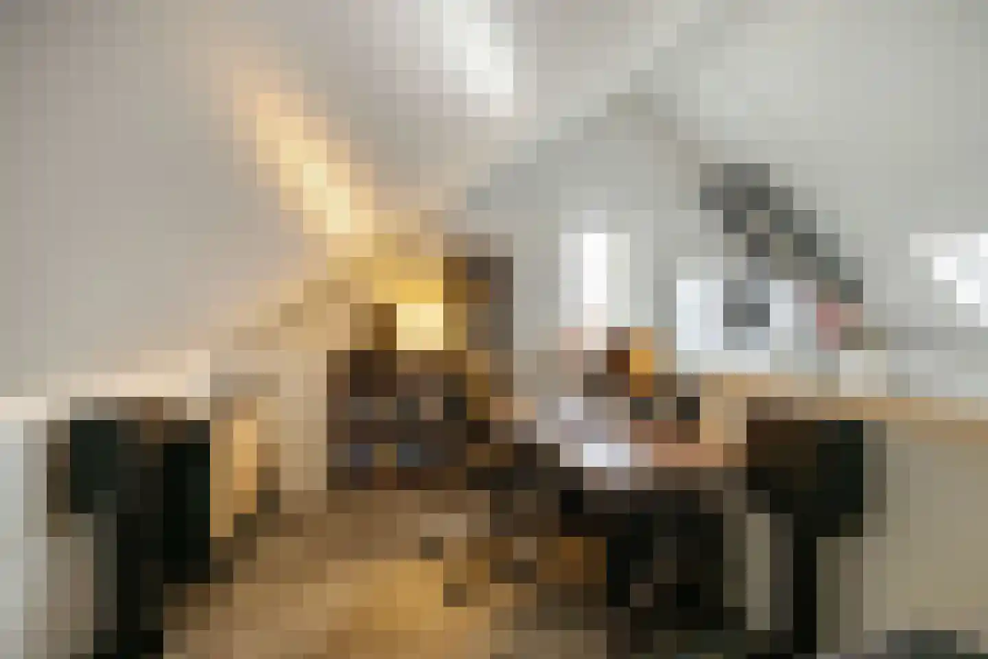 Anserstraat 4 Zuidhorn thumbnail 50